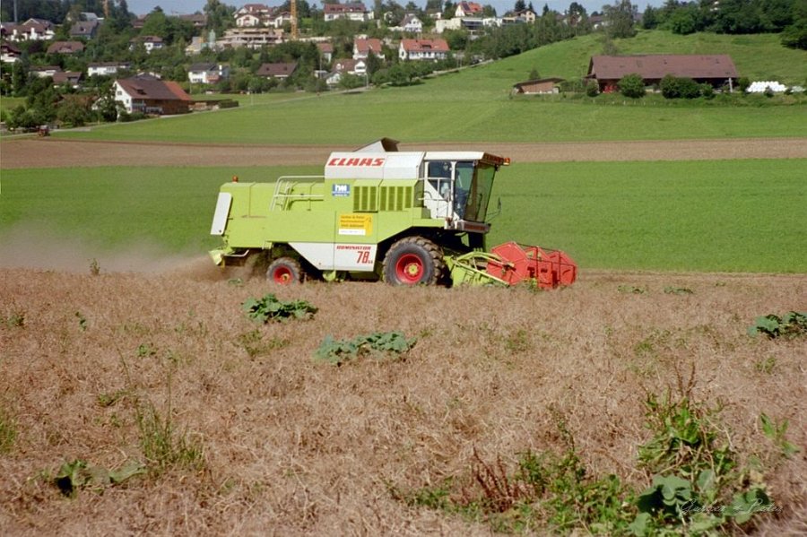 Claas Drescher 10
